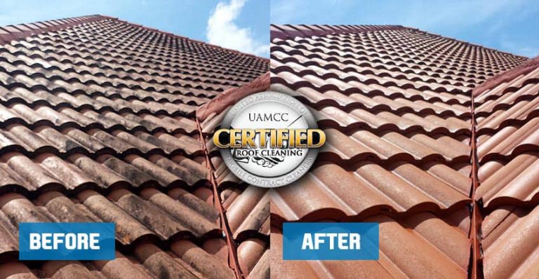 before and after roof cleaning