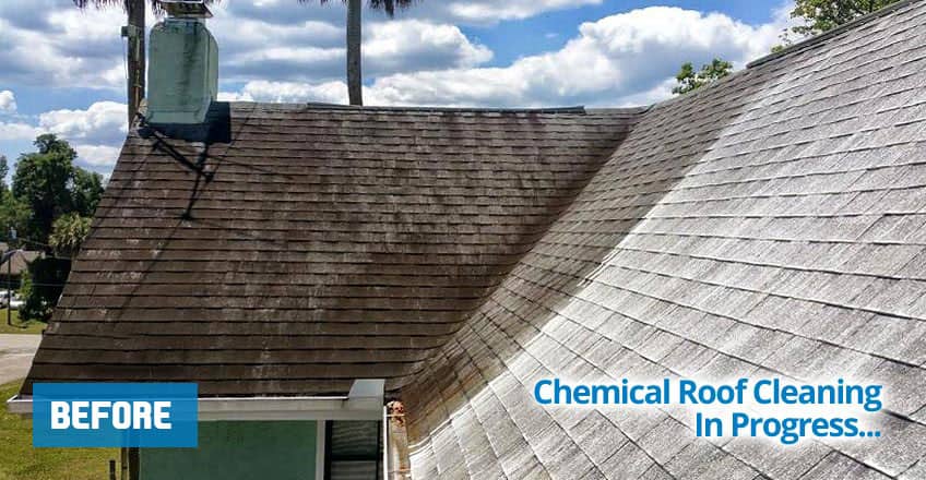 before and after chemical roof cleaning