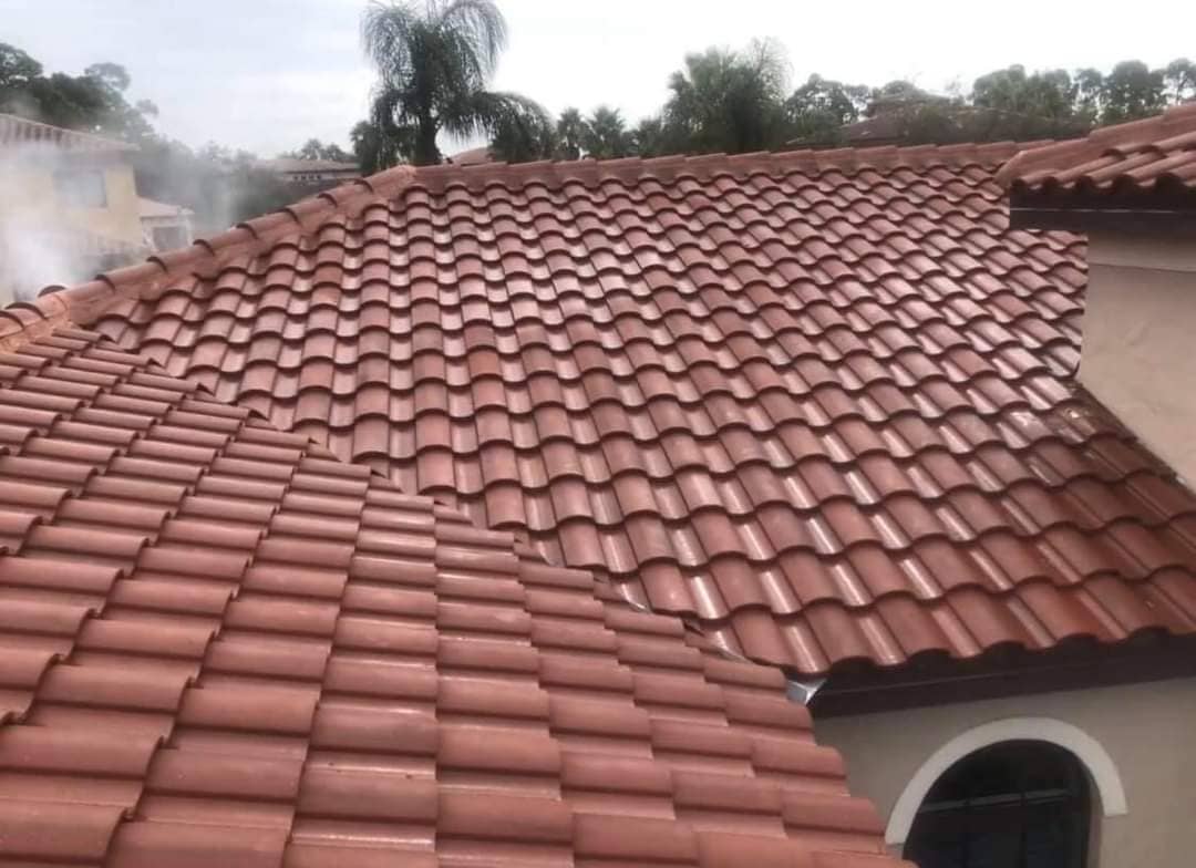 roof cleaning solutions