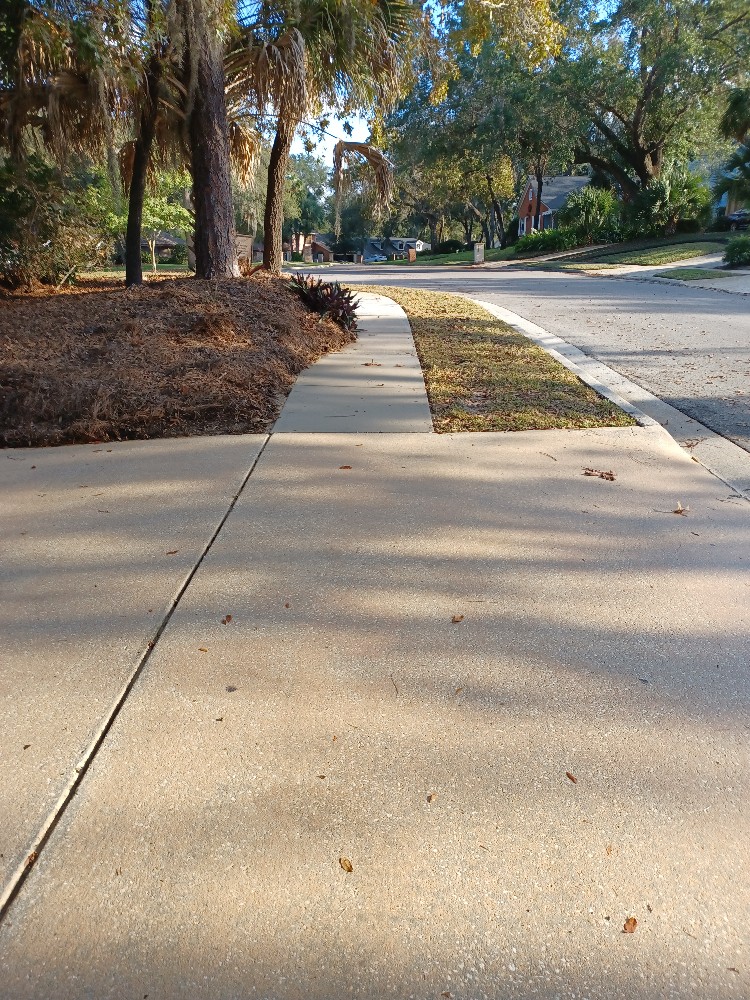 Concrete Wash in Leesburg