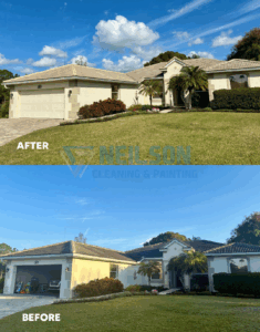 Neilson Cleaning and Painting