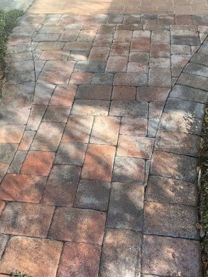 paver walkway before cleaning and grass